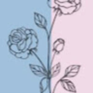 Meet your Posher, Sonia